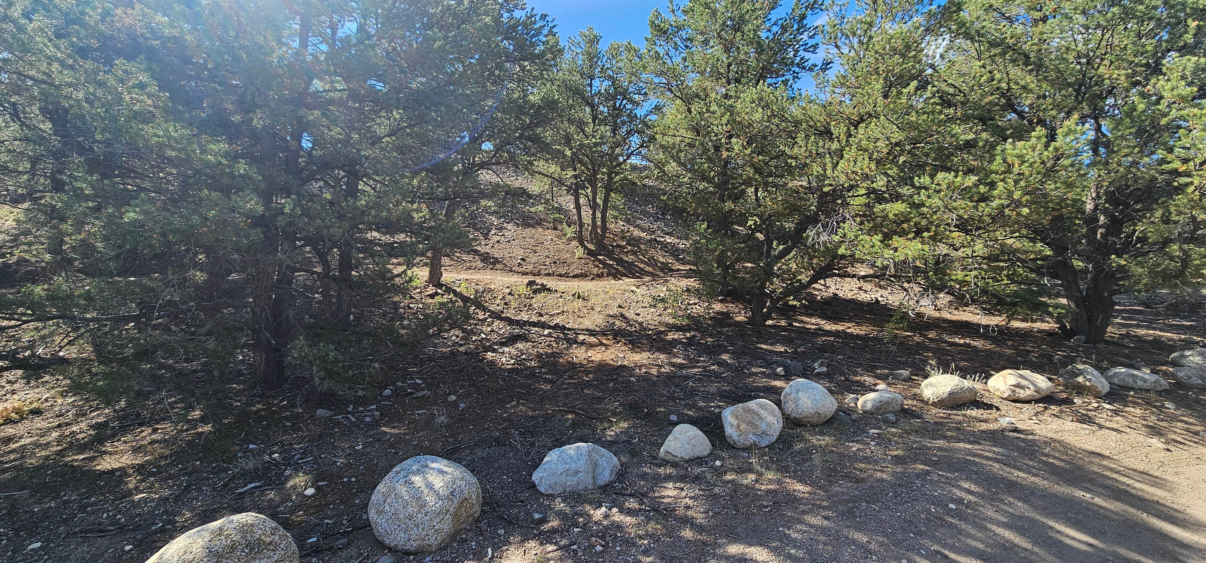 Camper-submitted photo at Salida BLM Land near Howard, CO