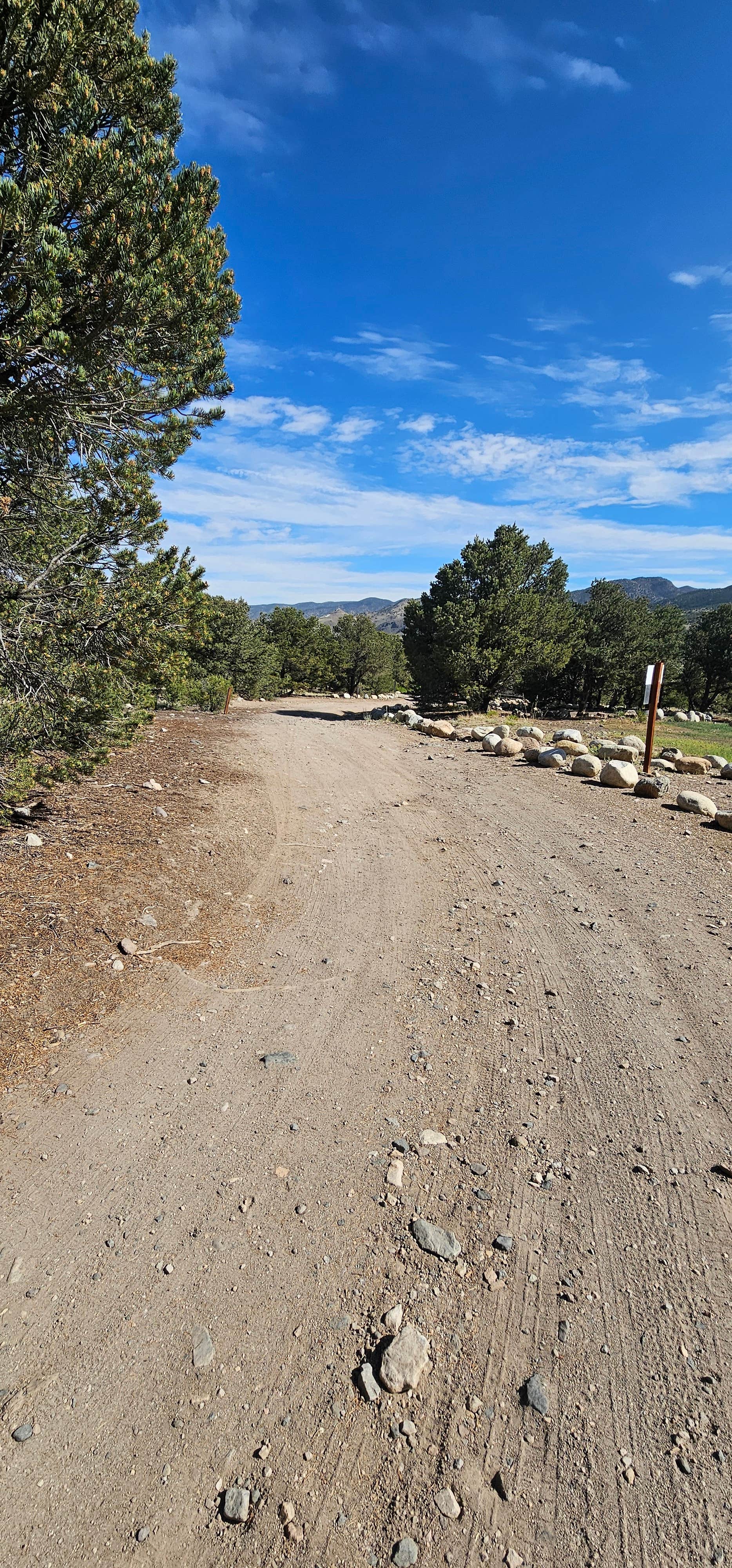 Camper-submitted photo at Salida BLM Land near Howard, CO