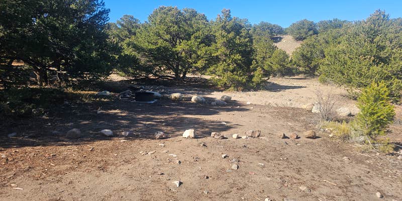 Camper submitted image from Salida BLM Land