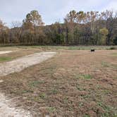 Review photo of Saline Valley Conservation Area by Debra S., October 25, 2026