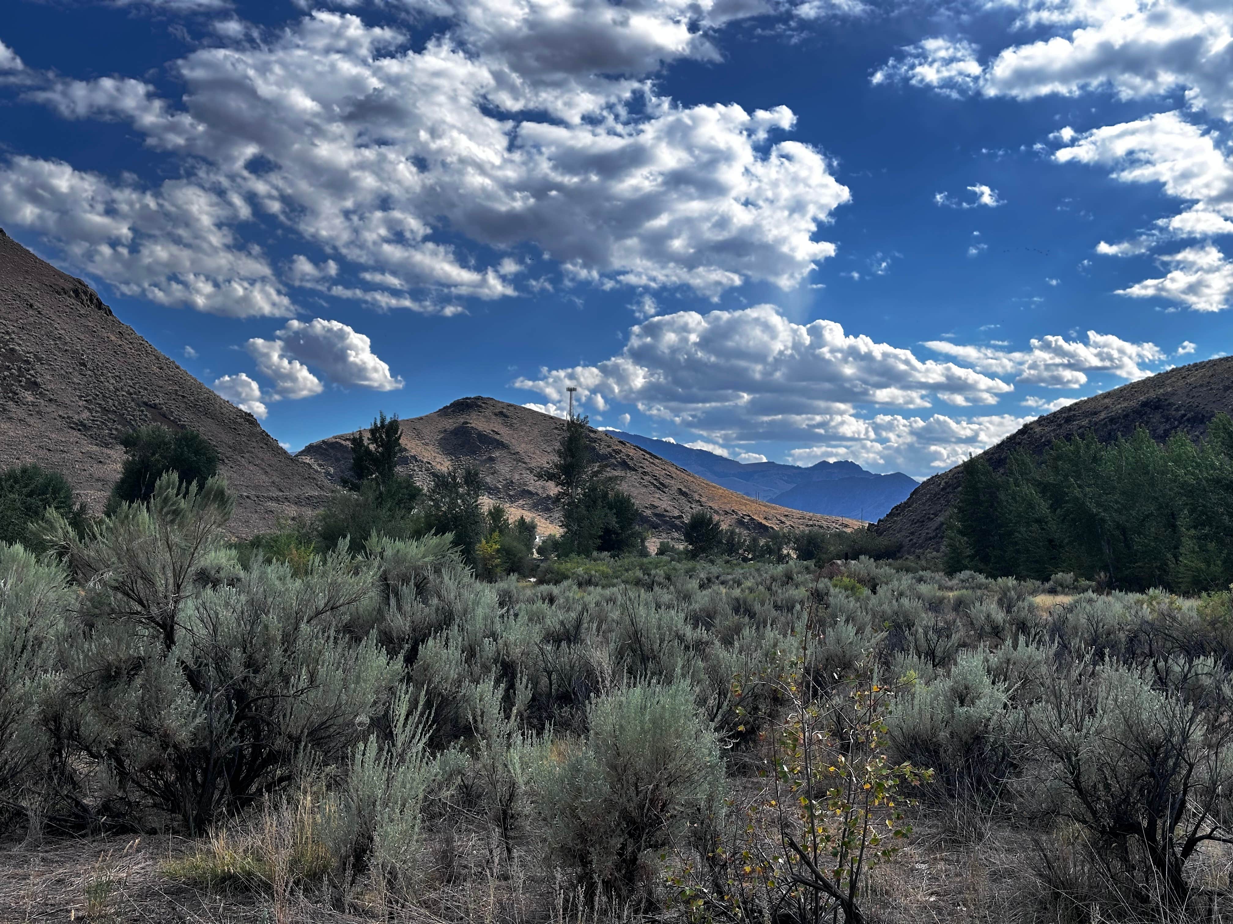 Kenny R.'s photo of a dispersed camping area at Salmon Creek Camp on Loening Road near Gibbonsville, ID