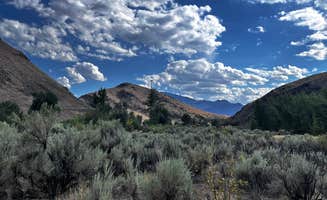 Kenny R.'s photo of a dispersed camping area at Salmon Creek Camp on Loening Road near Cobalt, ID