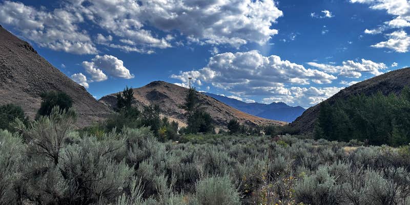 Camper submitted image from Salmon Creek Camp on Loening Road