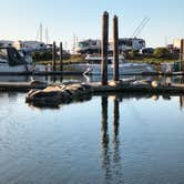 Review photo of Salmon Harbor Marina by Carrie G., September 3, 2026