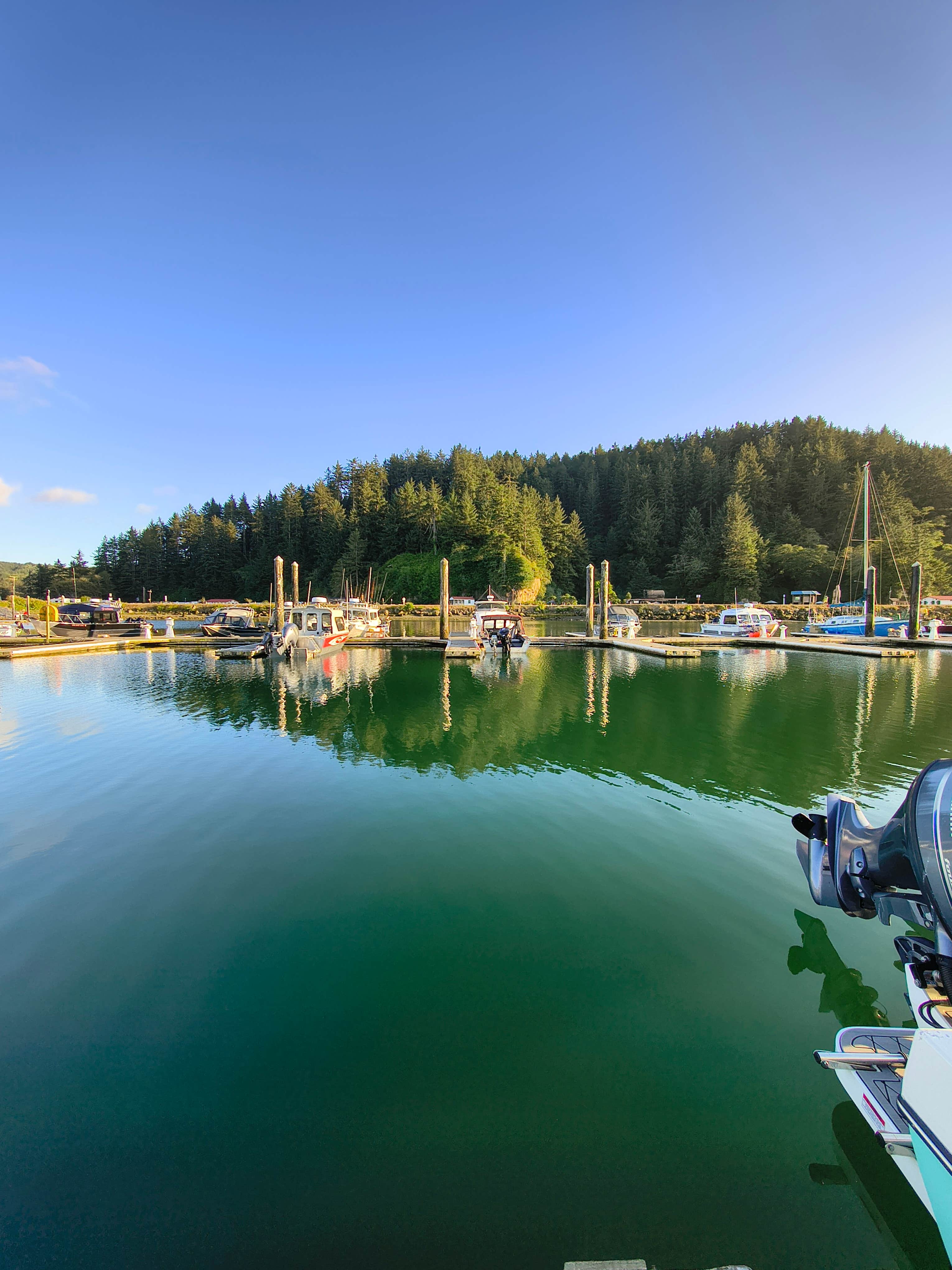 Camper-submitted photo at Salmon Harbor Marina near Gardiner, OR