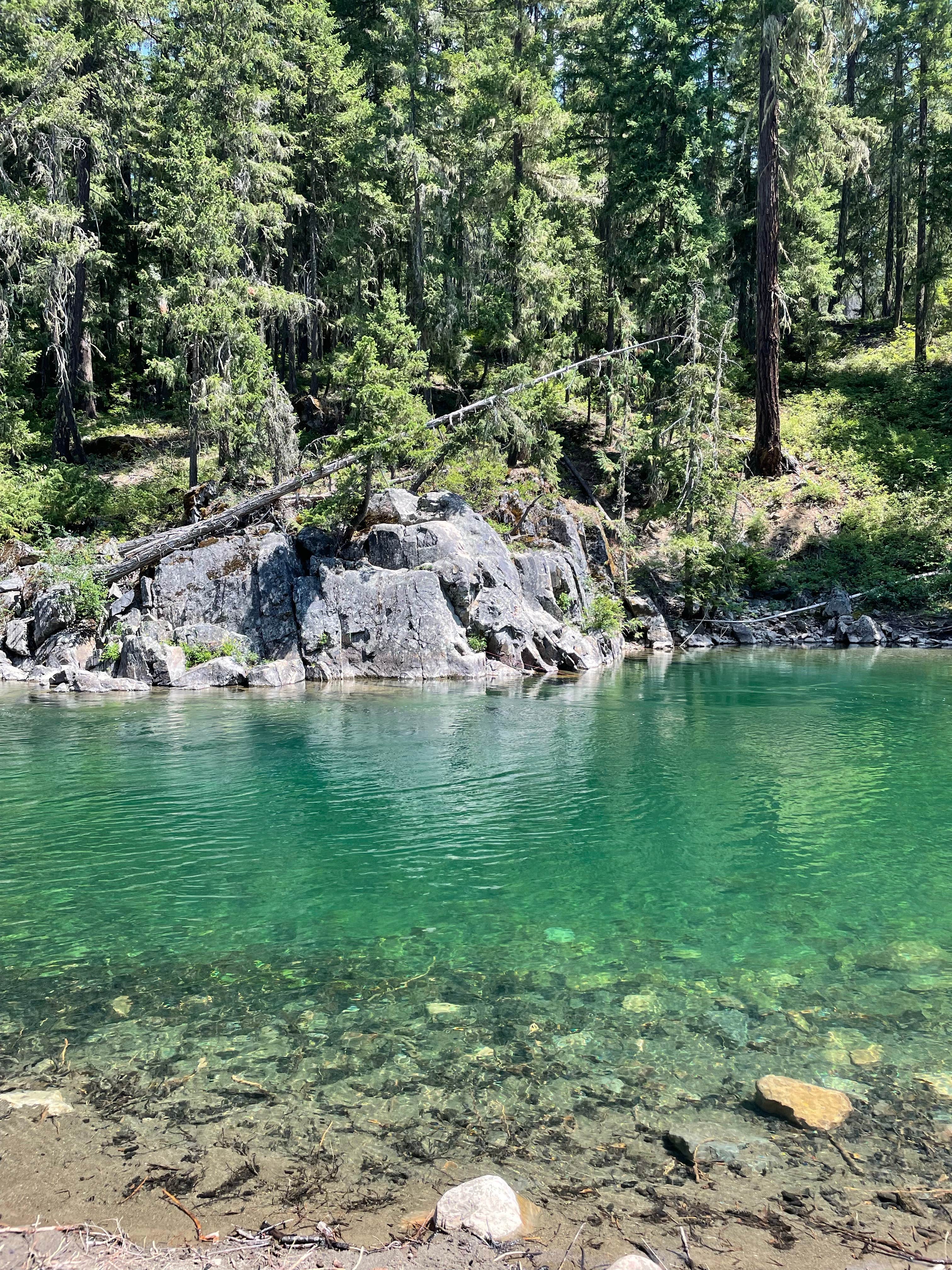 Camper-submitted photo at Salmon la Sac Road Dispersed Camping near Cle Elum, WA
