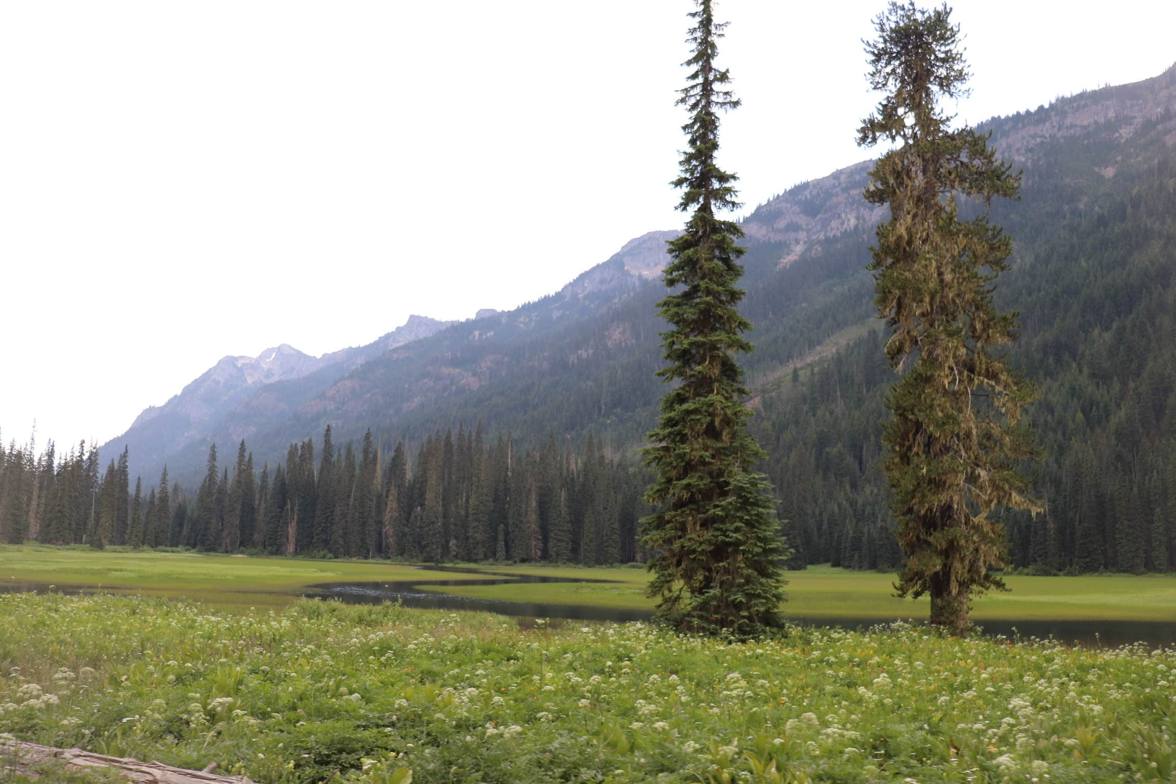 Camper-submitted photo at Salmon la Sac Road Dispersed Camping near Cle Elum, WA