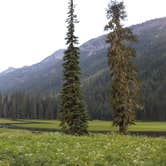 Review photo of Salmon la Sac Road Dispersed Camping by Emma C., September 12, 2025
