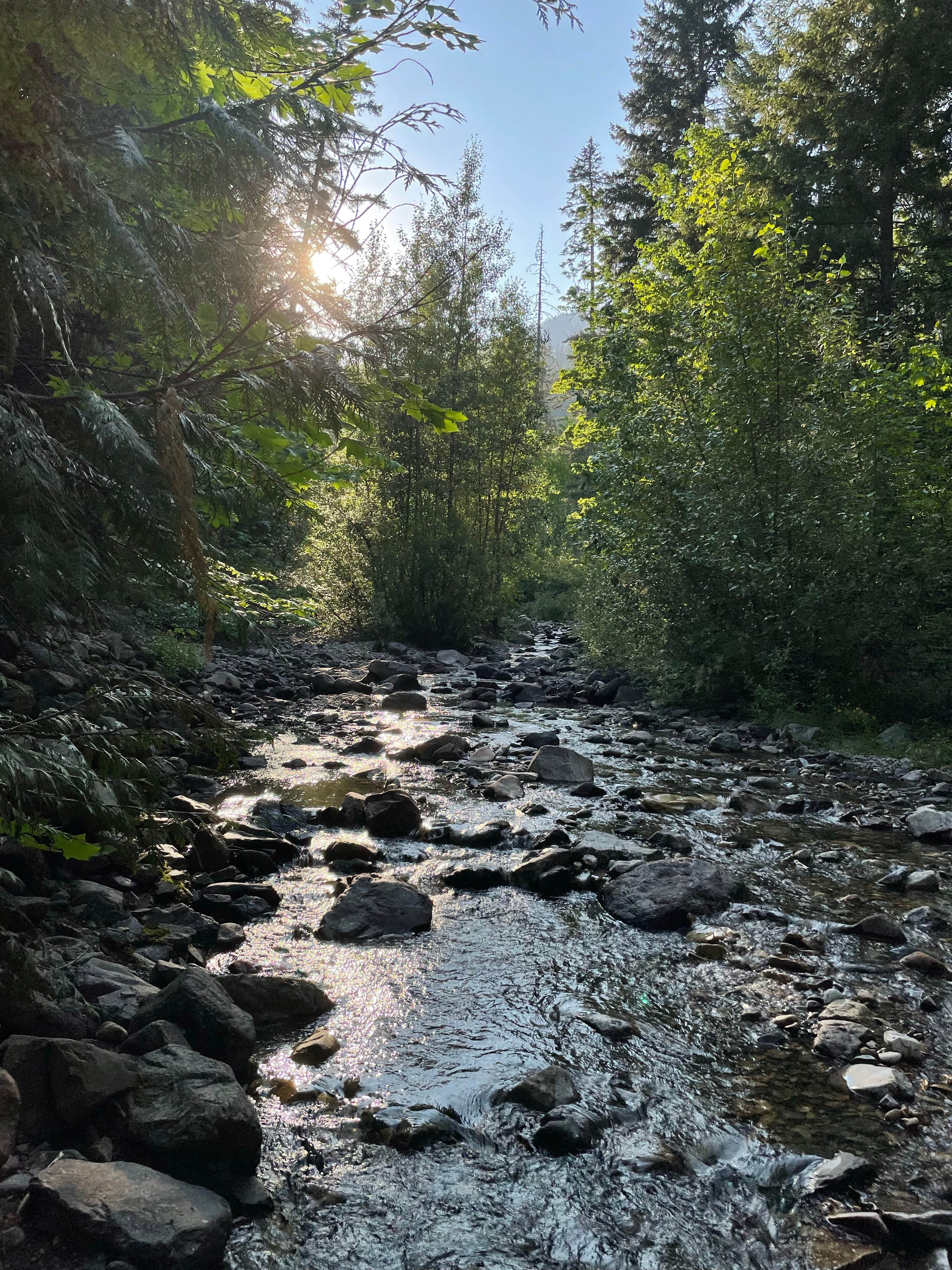 Camper-submitted photo at Salmon la Sac Road Dispersed Camping near Roslyn, WA