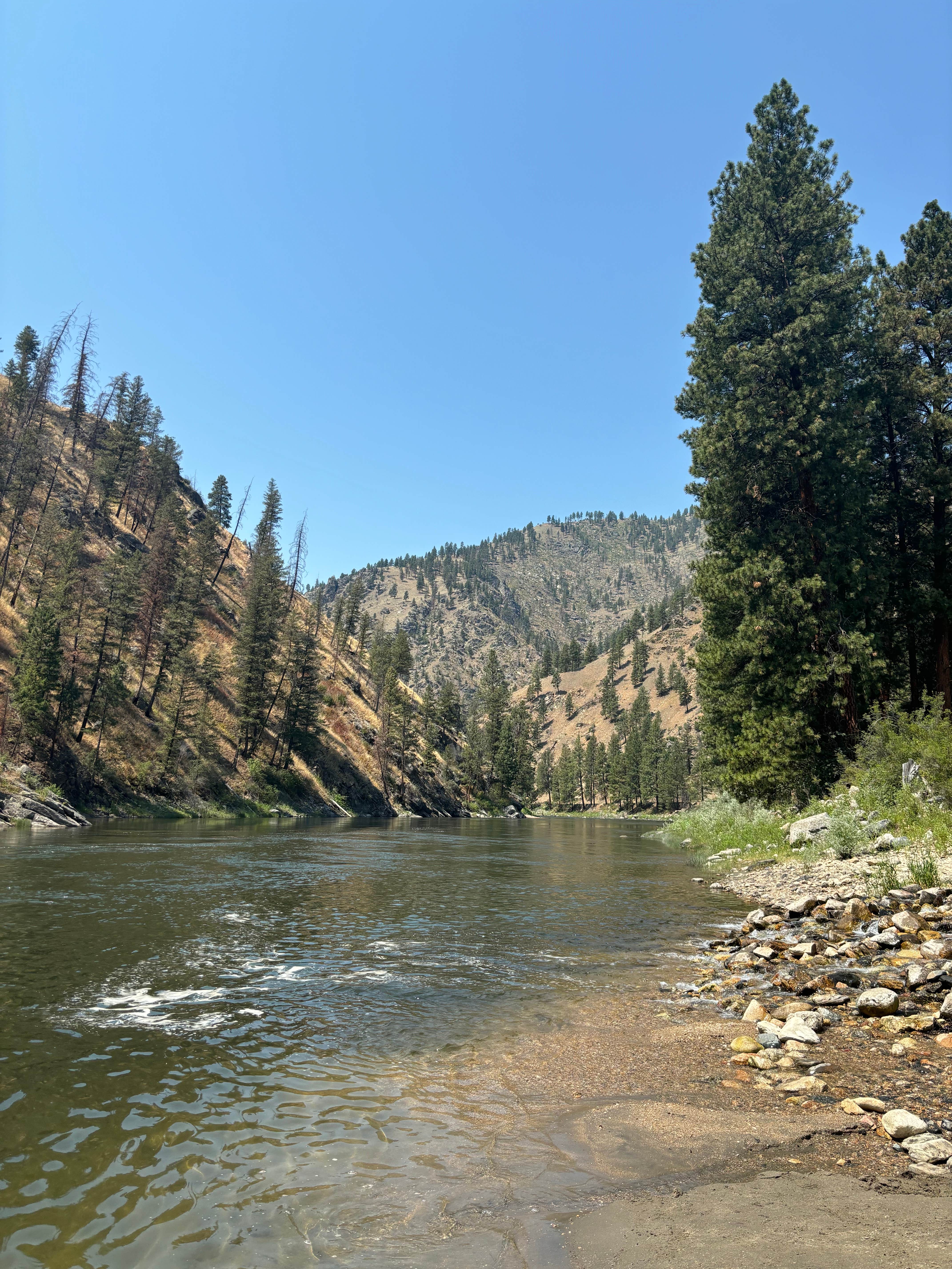 Camping near Bloody Dick Cabin: Century 2 Campground & RV Park, Salmon, Idaho