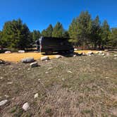 Review photo of Salmon River Roadside Camp by Kelli H., April 6, 2026