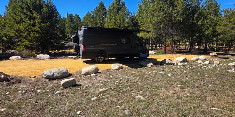 Camper submitted image from Salmon River Roadside Camp