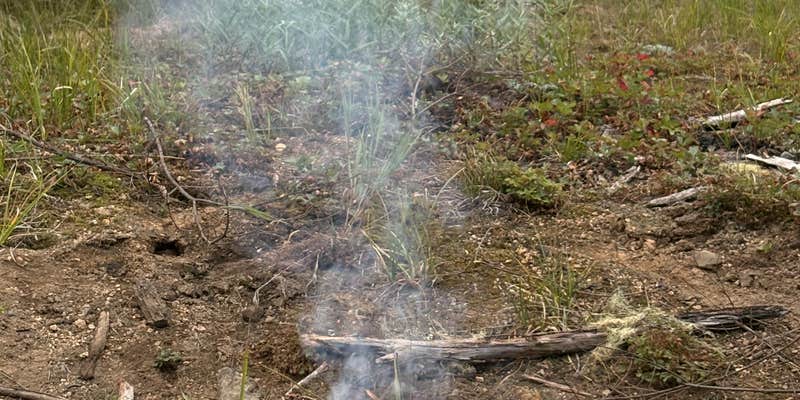 Camper submitted image from Salt Creek Backwoods