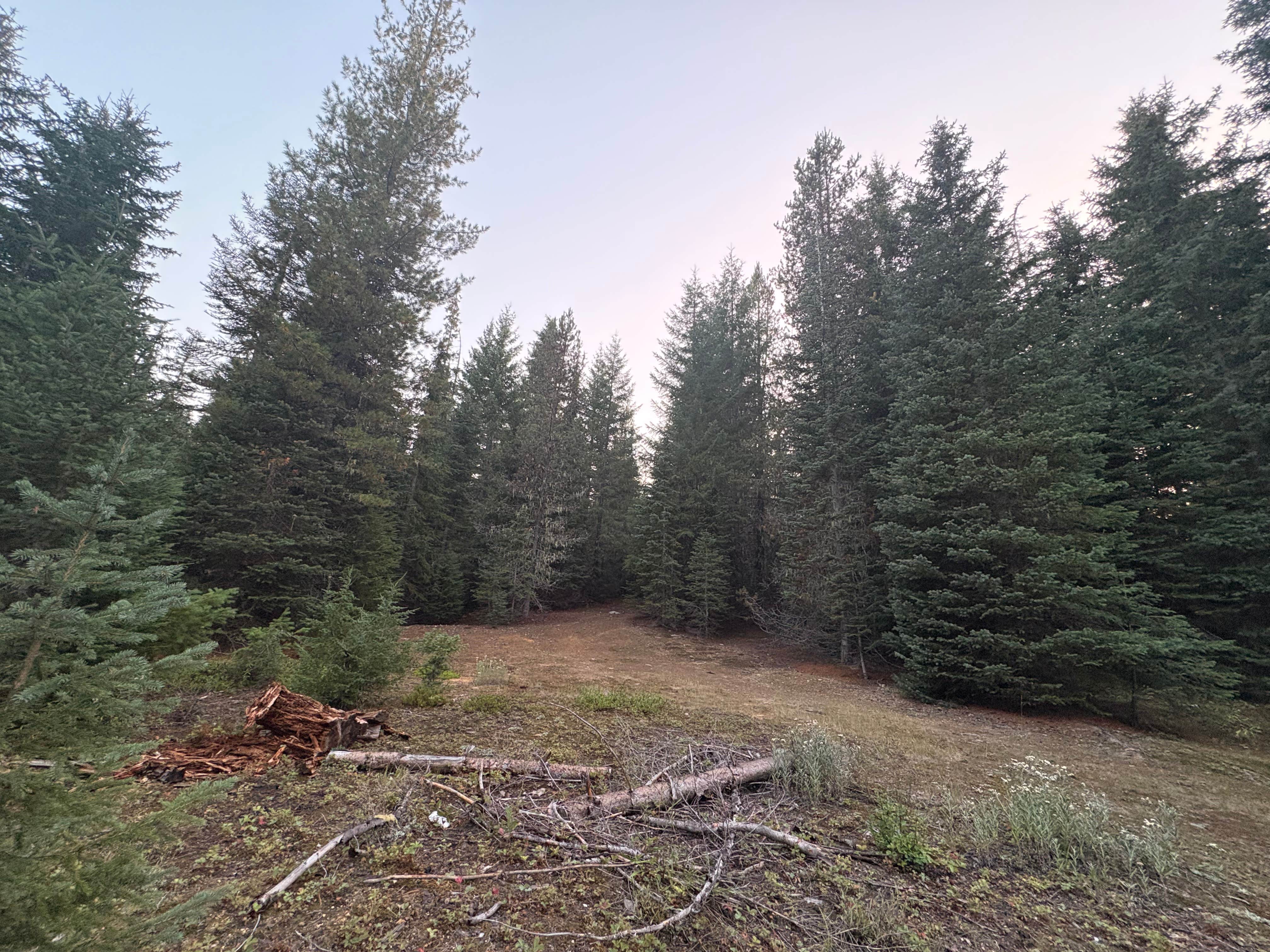 Camper-submitted photo at Salt Creek Backwoods near Crescent, OR