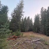 Review photo of Salt Creek Backwoods by Sarah S., September 13, 2025