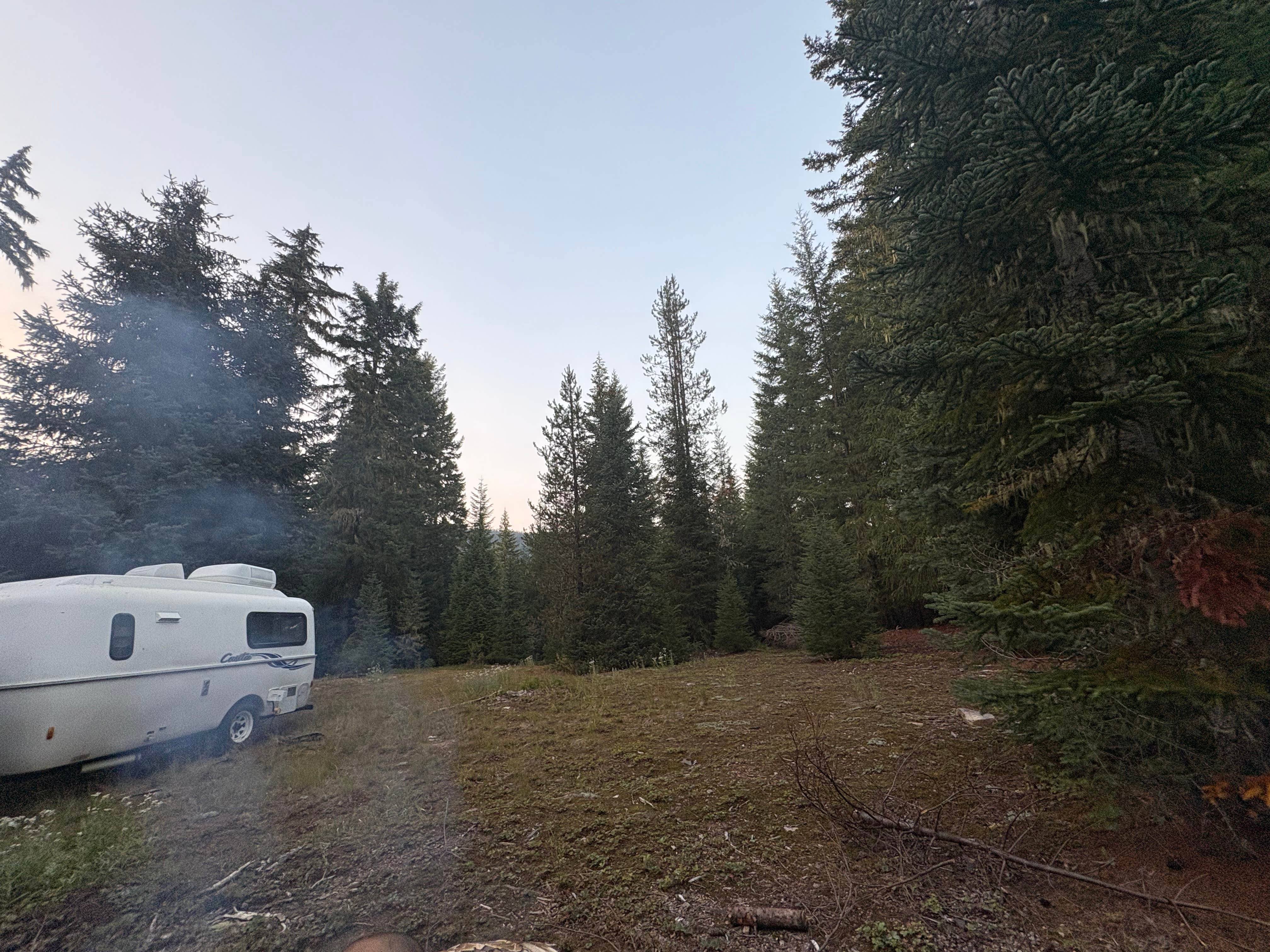 Camper-submitted photo at Salt Creek Backwoods near Crescent, OR