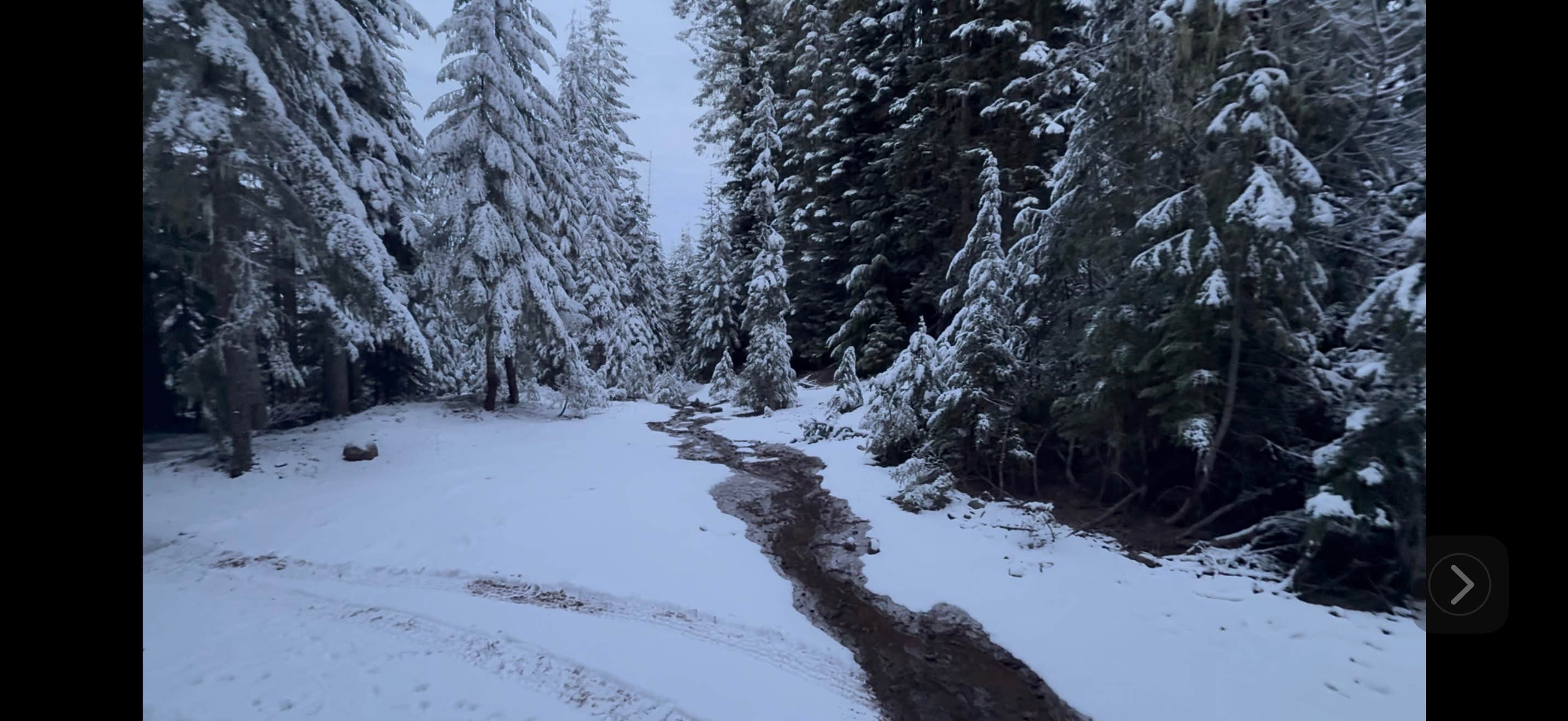 Camper-submitted photo at Salt Creek Hideout near Fall Creek, OR