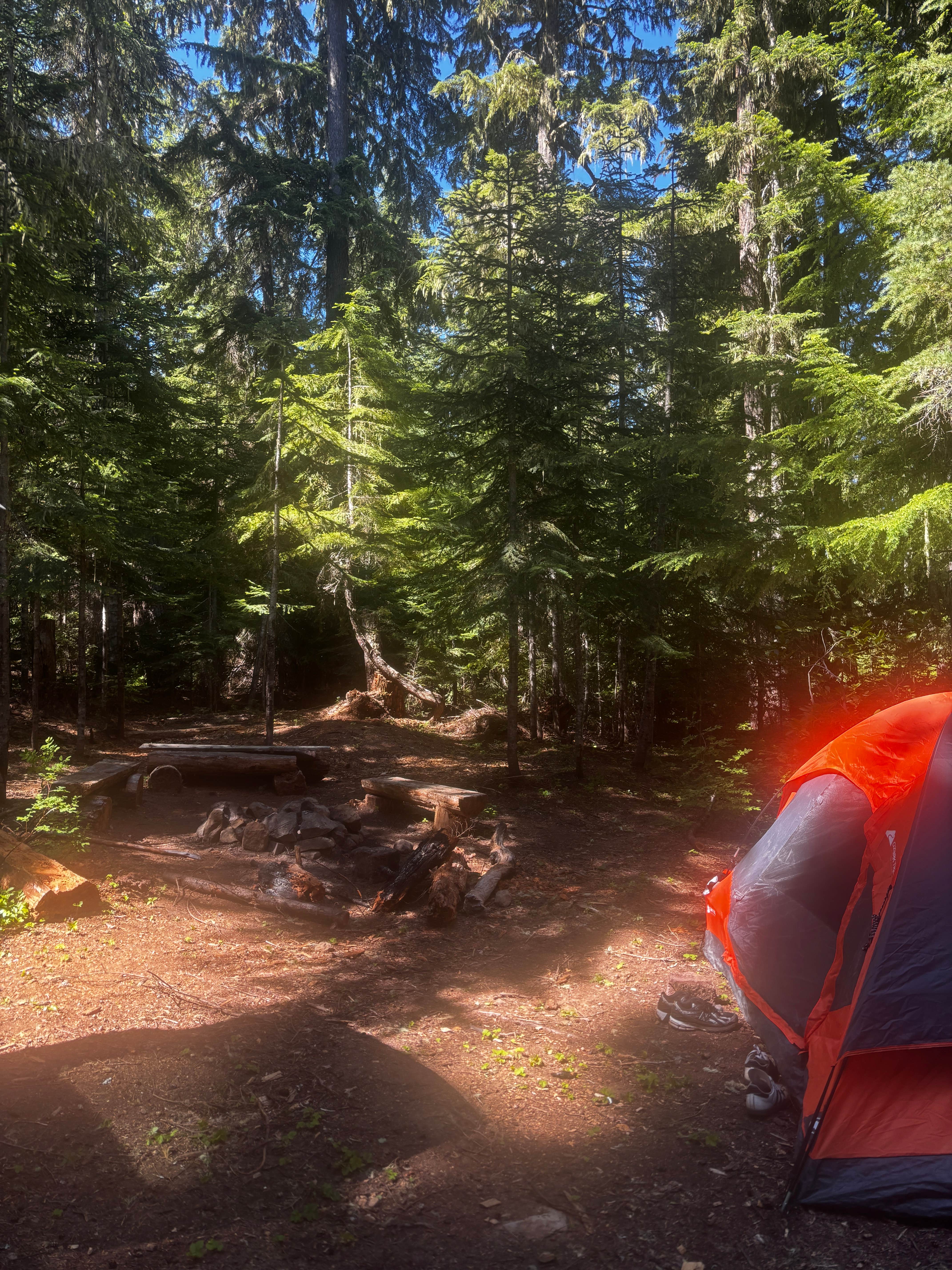 Camping near Salt Creek Sno-Park: Salt Creek Hideout, Oakridge, Oregon