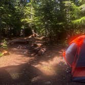 Review photo of Salt Creek Hideout by TD S., June 17, 2025