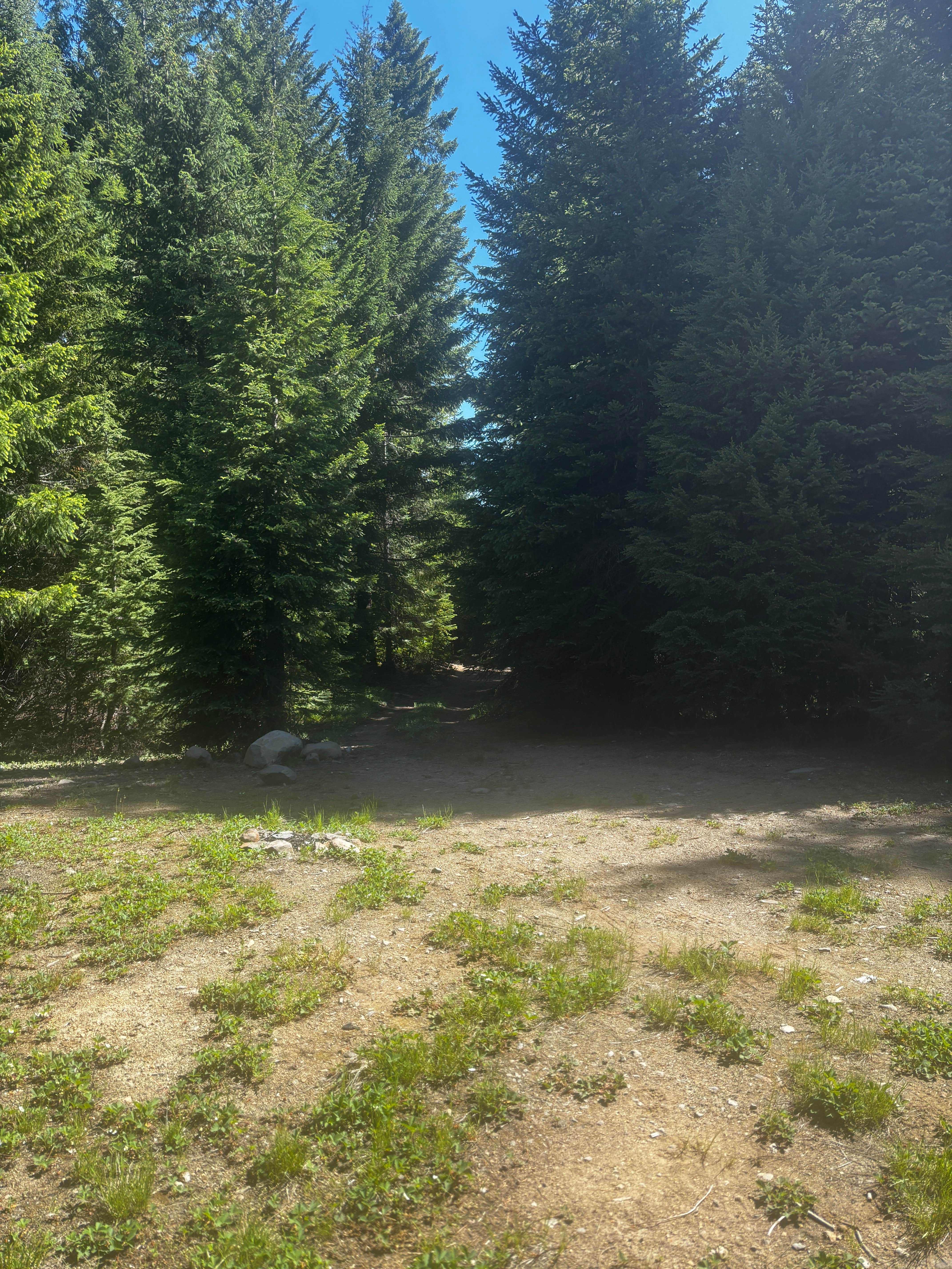 Camper-submitted photo at Salt Creek Hideout near Crescent, OR