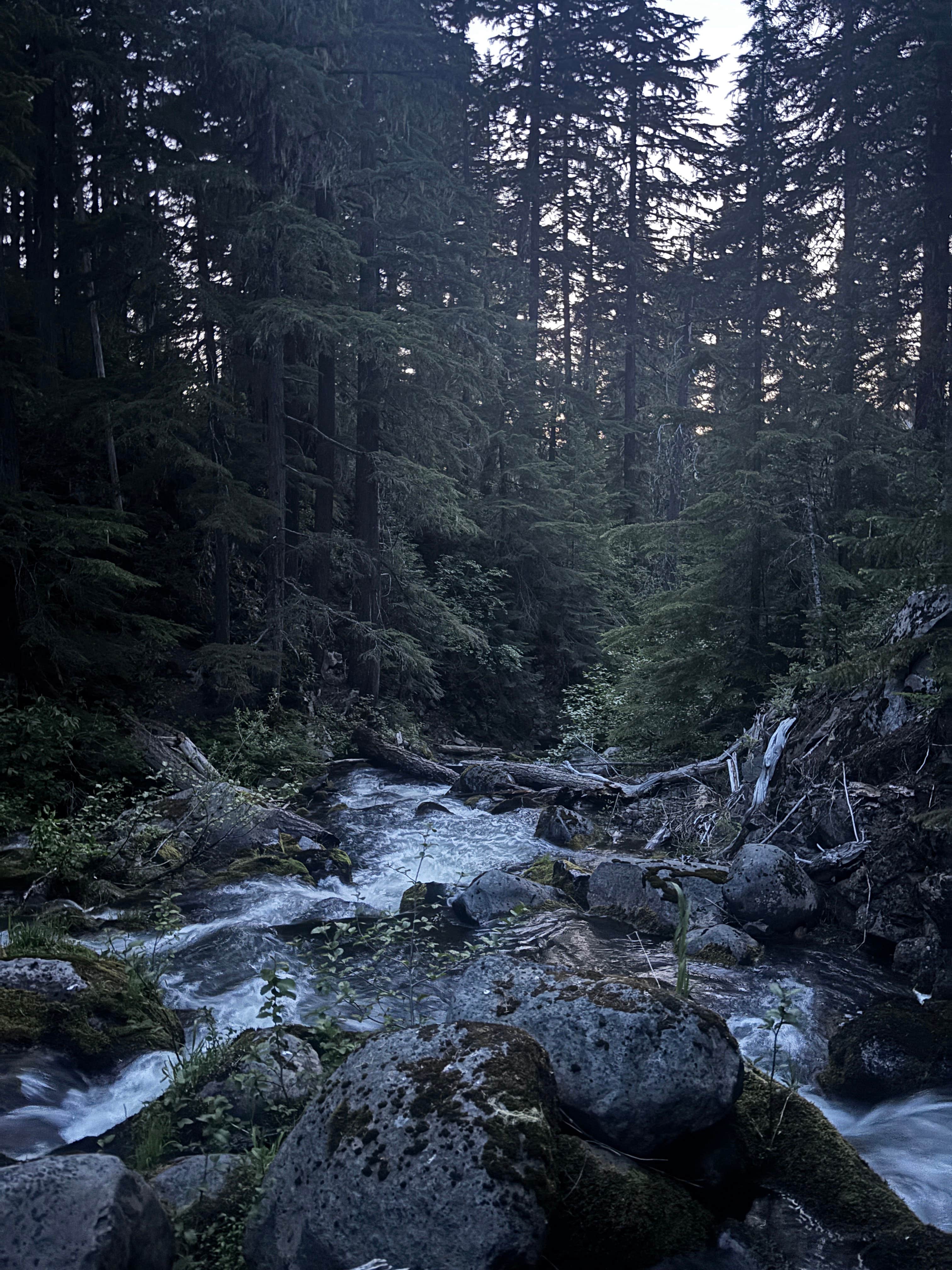 Camper-submitted photo at Salt Creek Hideout near Crescent, OR