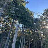 Review photo of Salt Creek Recreation Area by Evergreen Adventures P., December 5, 2023