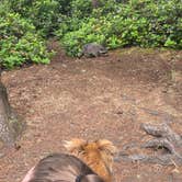 Review photo of Salt Creek Recreation Area by Shawna H., July 5, 2026