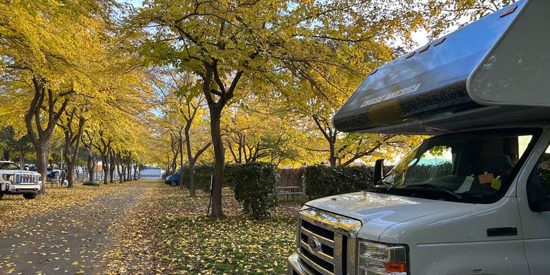 Camper submitted image from Salt Lake City KOA