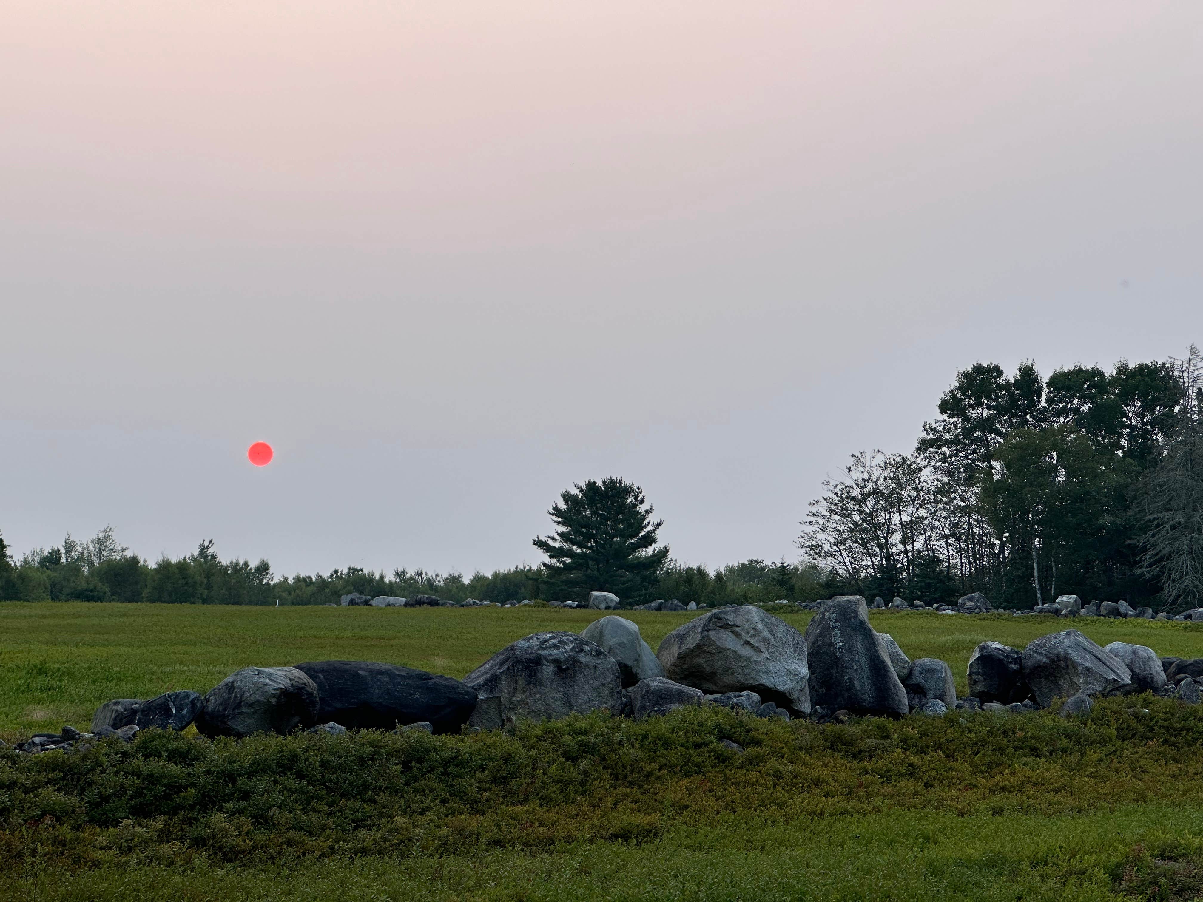 Camper submitted image from Maine Wild Blueberry Bliss - 3