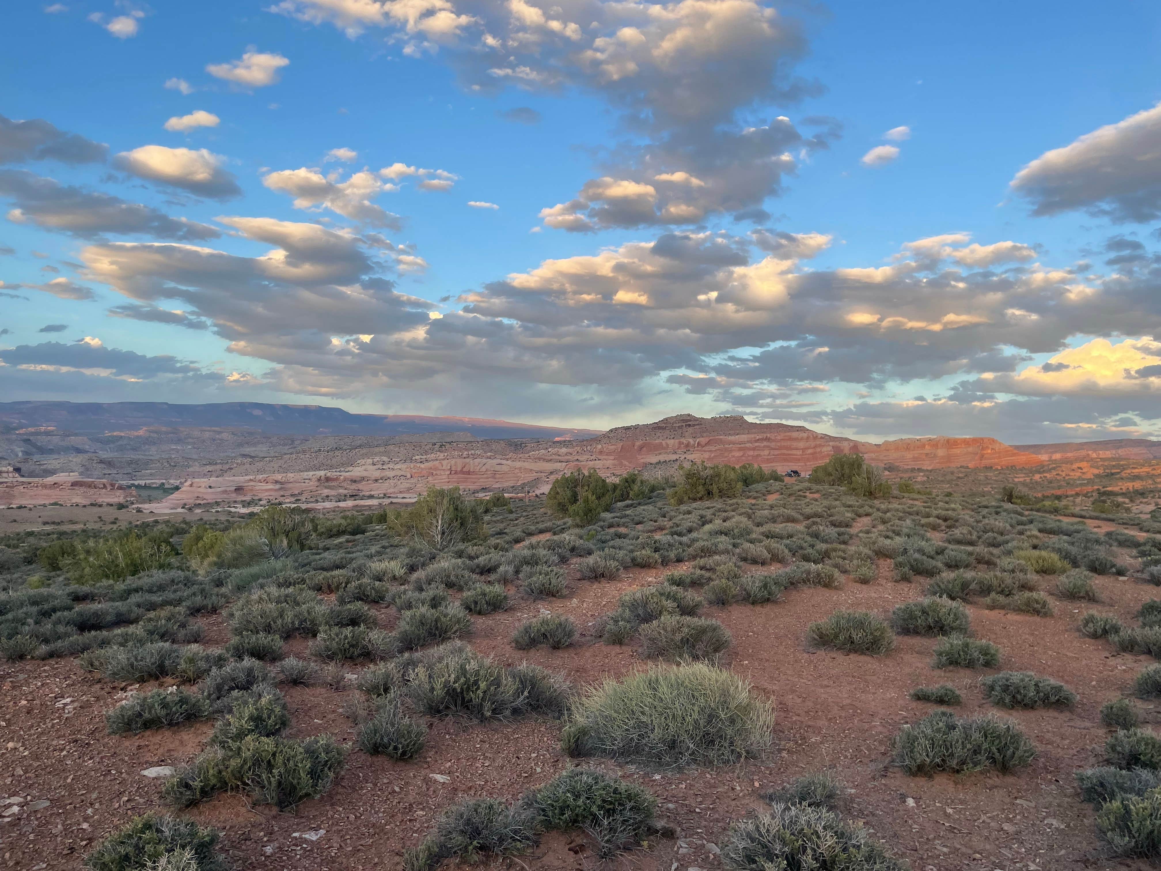 Camper-submitted photo at Salt Valley Dispersed Camping near Castle Valley, UT