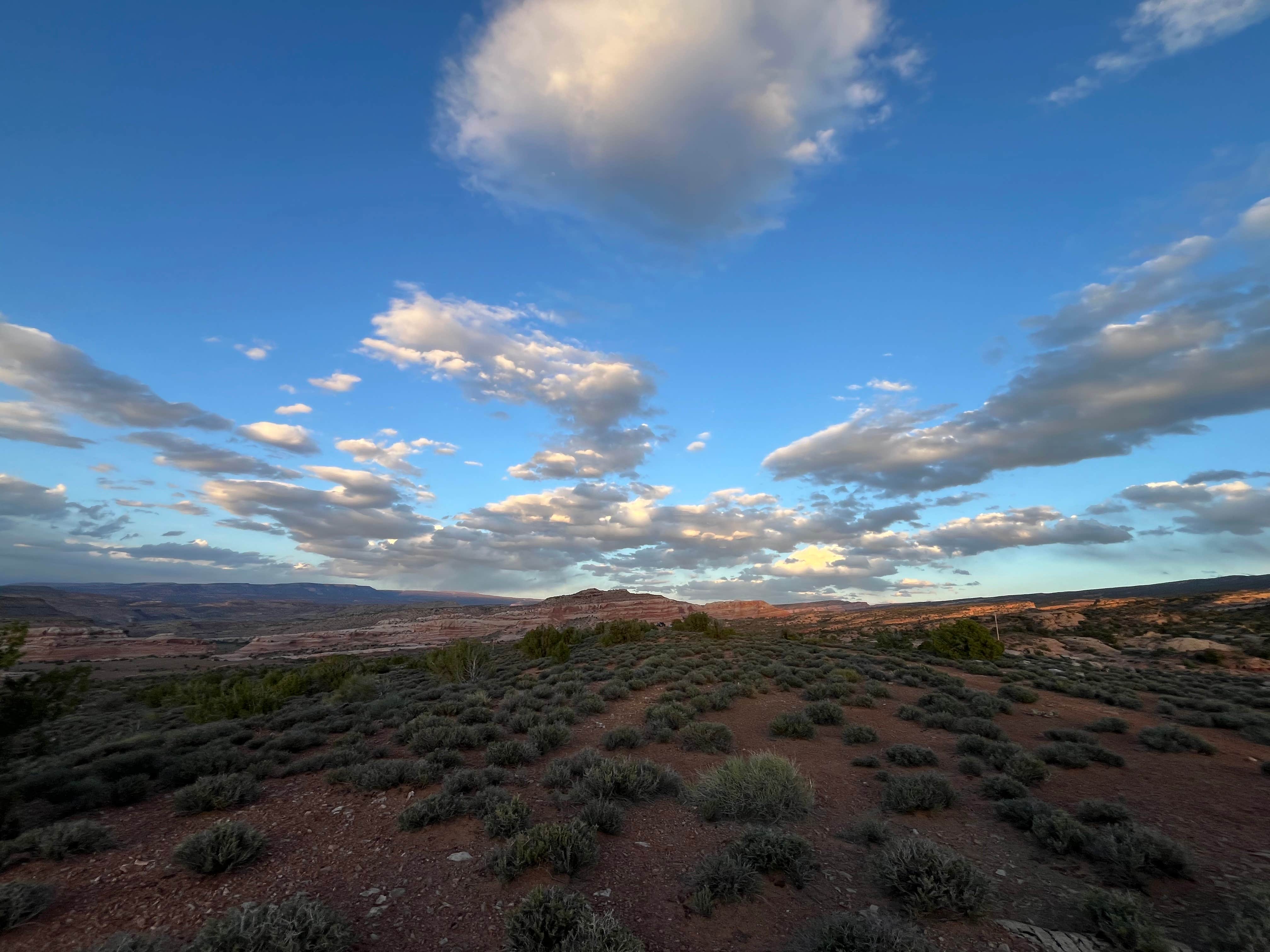 Camper-submitted photo at Salt Valley Dispersed Camping near Castle Valley, UT