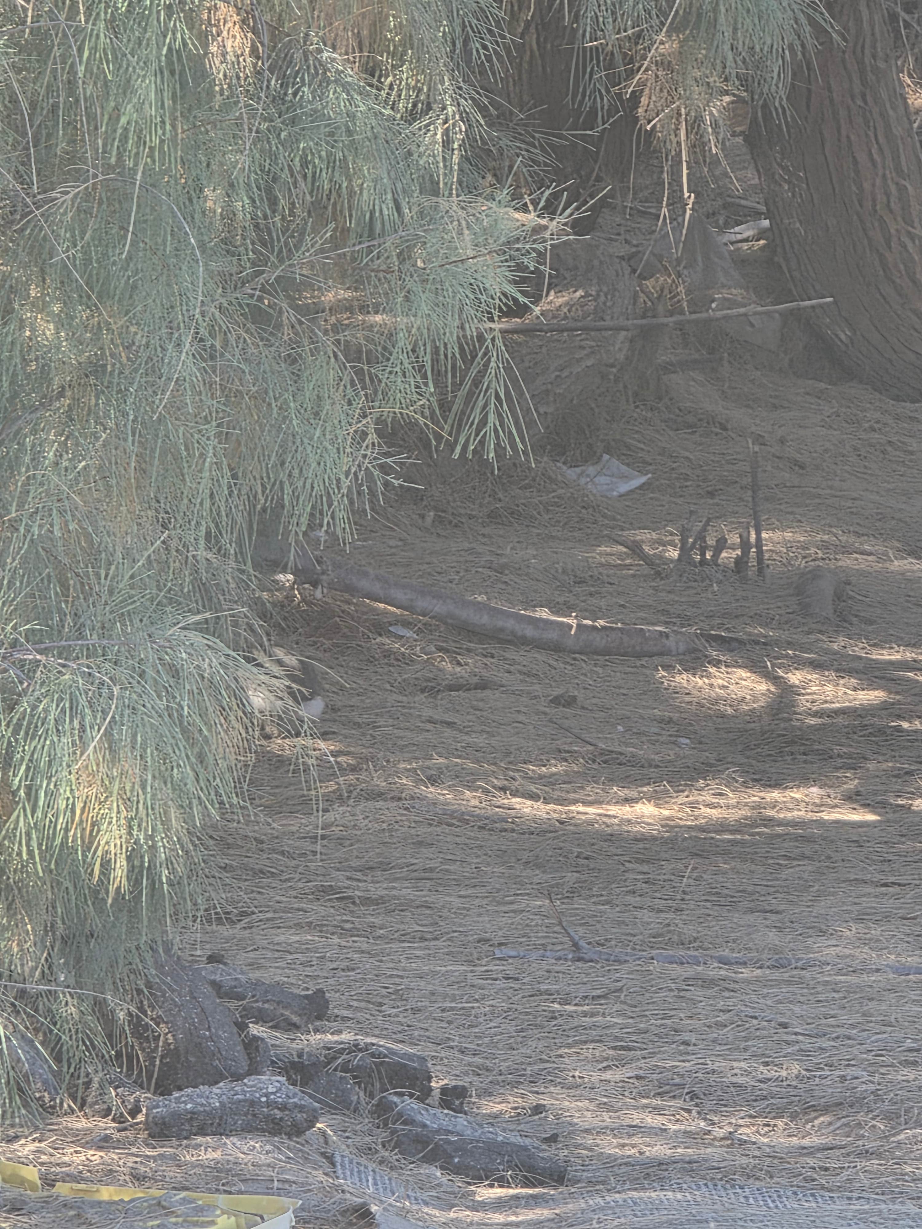 Camper-submitted photo at Salton City Beach near Salton City, CA