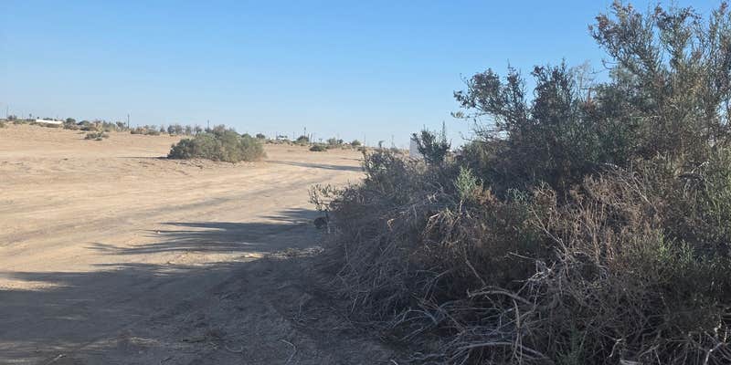 Camper submitted image from Salton City Beach