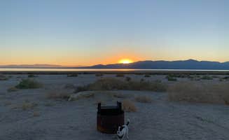 Shawn's photo of camping with pets at Salton Sea Sra near El Centro, CA