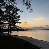 Review photo of Sam Forse Collins Recreation Area by Stephen D., March 7, 2026