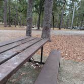Review photo of Sam Houston National Forest Cagle Recreation Area by Mairi K., December 1, 2025