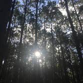 Review photo of Sam Houston National Forest Cagle Recreation Area by Lexi W., February 8, 2024