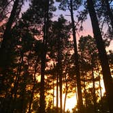 Review photo of Sam Houston National Forest Cagle Recreation Area by Lexi W., February 8, 2024