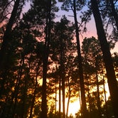 Review photo of Sam Houston National Forest Cagle Recreation Area by Lexi W., February 8, 2024