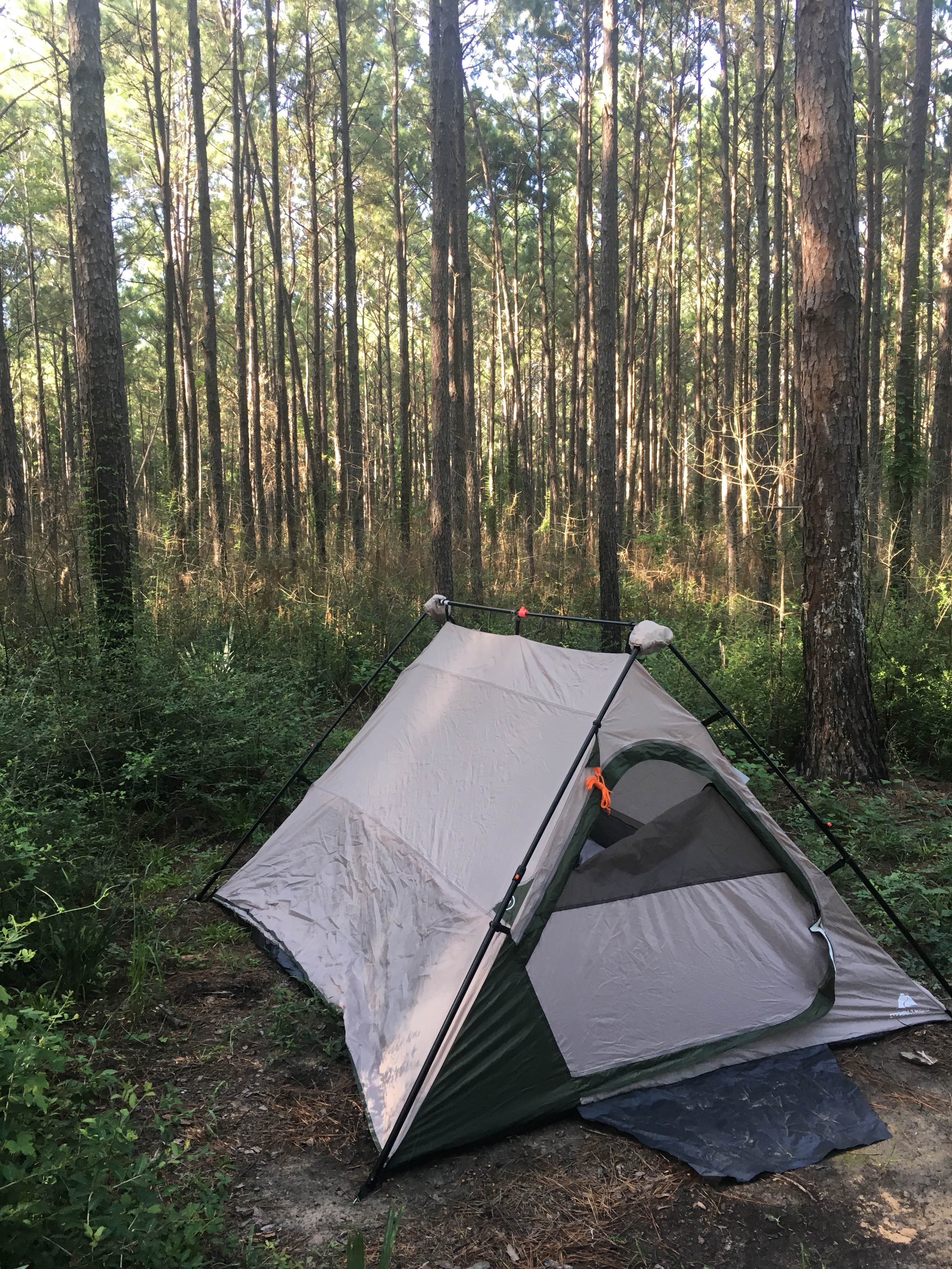 Lexi W.'s photo at Sam Houston National Forest Cagle Recreation Area near Hufsmith, TX