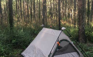 Lexi W.'s photo at Sam Houston National Forest Cagle Recreation Area near Hufsmith, TX