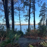 Review photo of Sam Houston National Forest Cagle Recreation Area by Viviana M., December 18, 2023