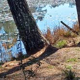 Review photo of Double Lake NF Campground by JenniferWinning , February 27, 2025