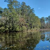 Review photo of Double Lake NF Campground by JenniferWinning , February 27, 2025