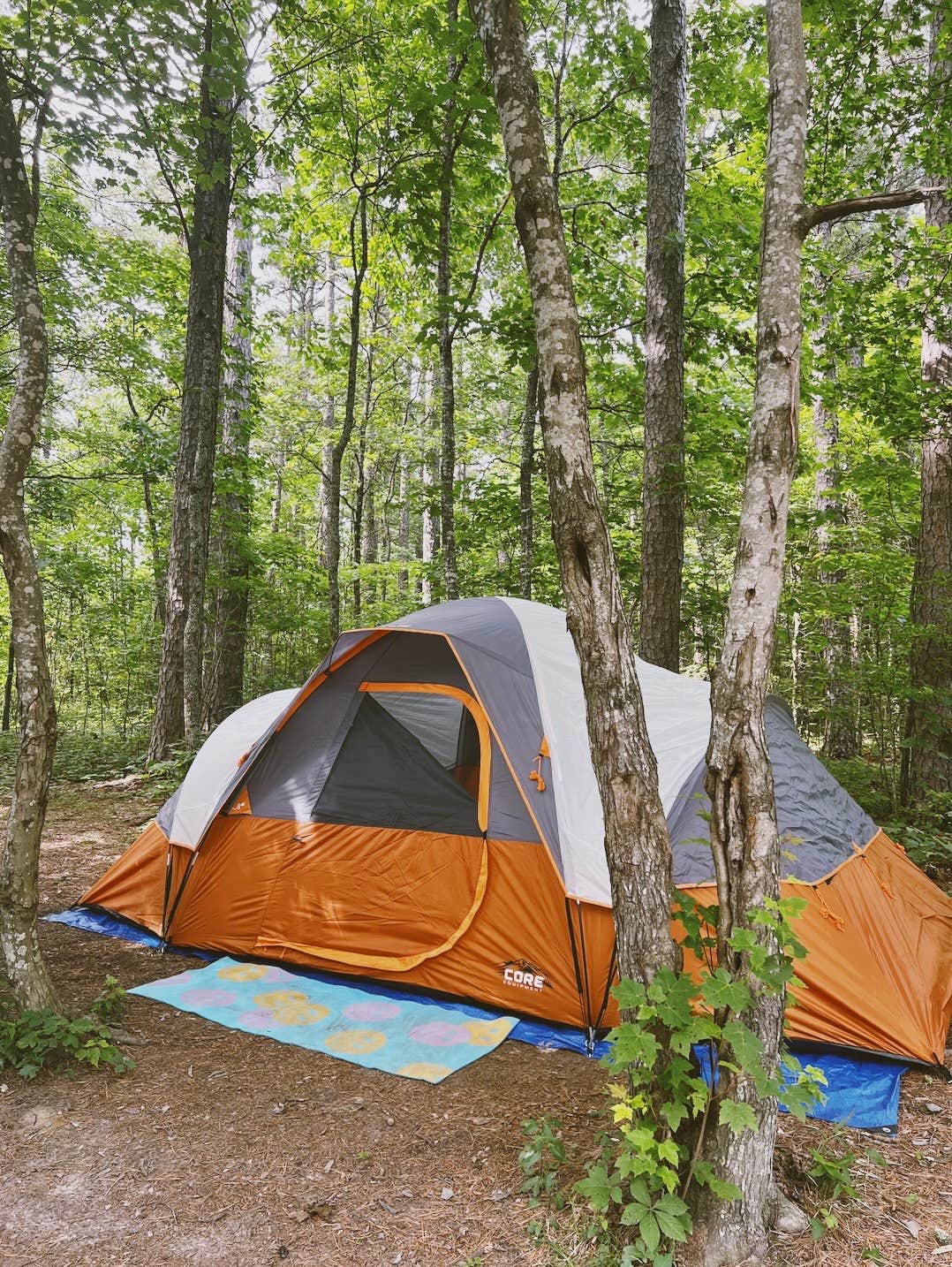 Taylor M.'s photo at Sam's Throne Recreation Area near Mount Judea, AR