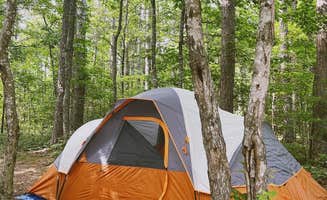 Taylor M.'s photo at Sam's Throne Recreation Area near Mount Judea, AR
