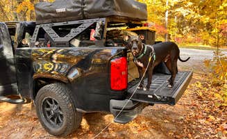 Jacquelyn H.'s photo of camping with pets at Sam's Throne Recreation Area near Buffalo National River