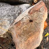 Review photo of Sam's Throne Recreation Area by Jacquelyn H., November 7, 2025