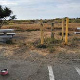 Review photo of Samoa Boat Ramp County Park by SpentBrassOffroad B., June 16, 2025