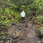 Review photo of Samuel P. Taylor State Park Campground by Joseph G., April 18, 2024